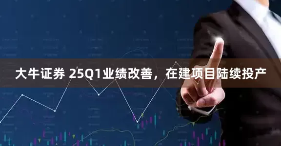 大牛证券 25Q1业绩改善，在建项目陆续投产