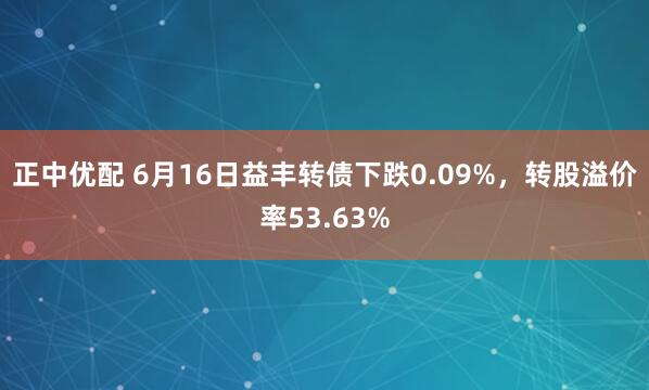 正中优配 6月16日益丰转债下跌0.09%，转股溢价率53.63%