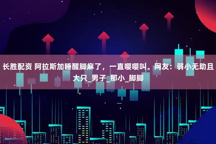 长胜配资 阿拉斯加睡醒脚麻了，一直嘤嘤叫。网友：弱小无助且大只_男子_那小_脚脚